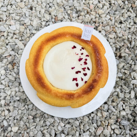 IMG_8313 sq IMG_8313 sq