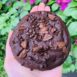 Omaigot Double Chocolate Chip