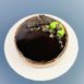 Green tea chocolate.cake